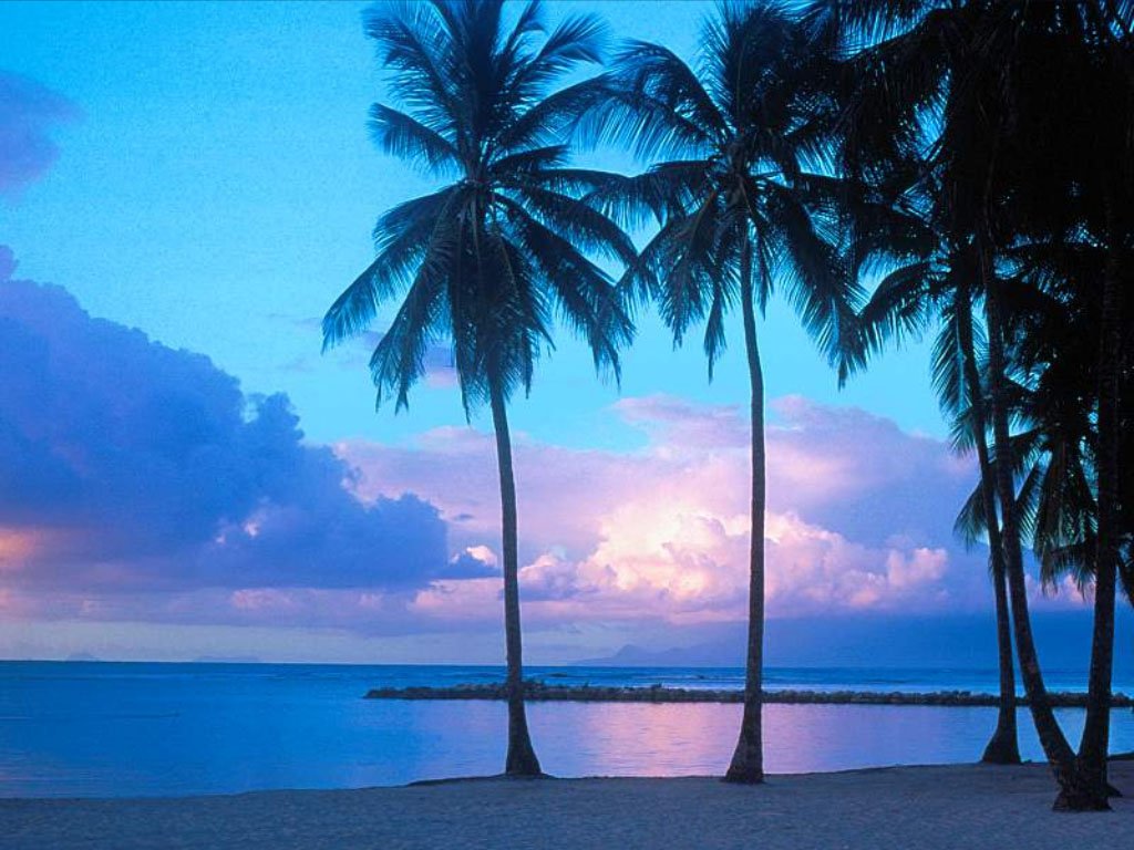nice evening....