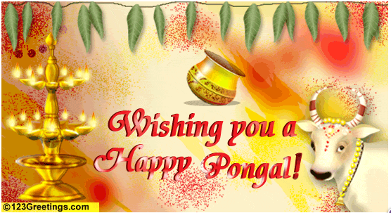 wish you Happy pongal