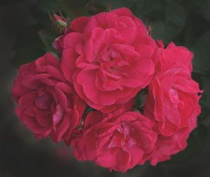for u