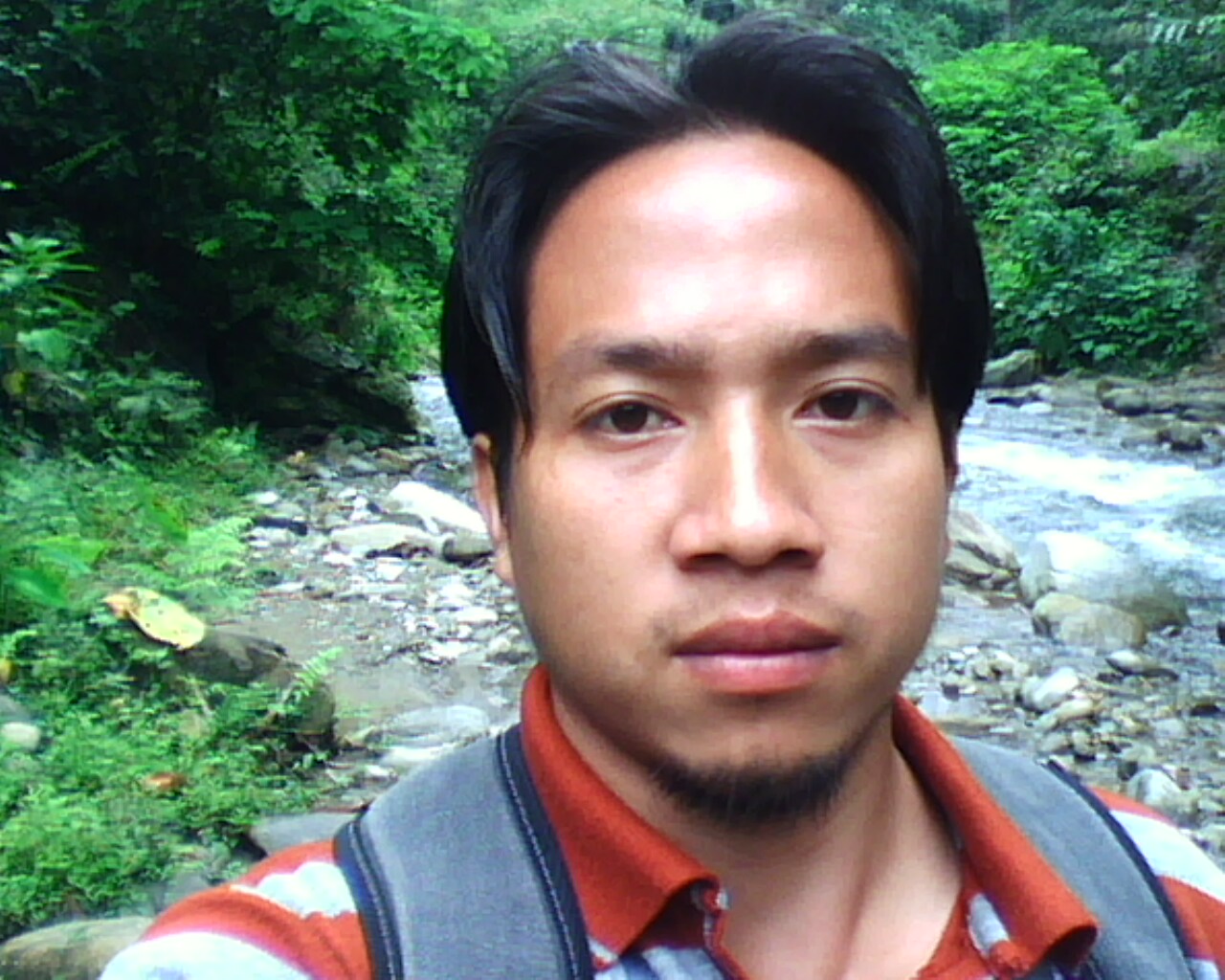 Going to search my Bos frontalis(mithun)