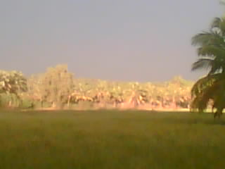 Great Nature 