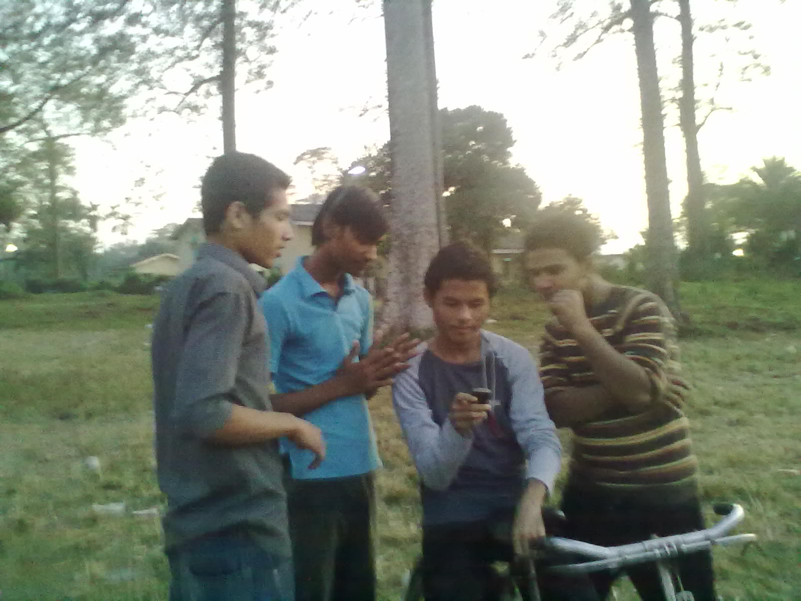 my friends