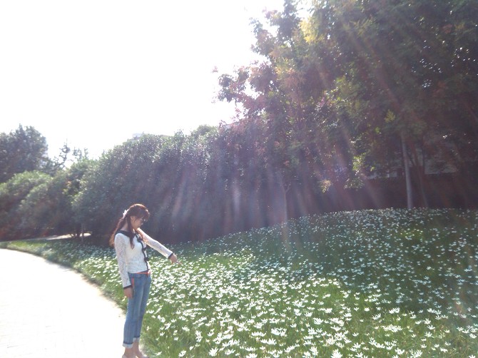 my  sun