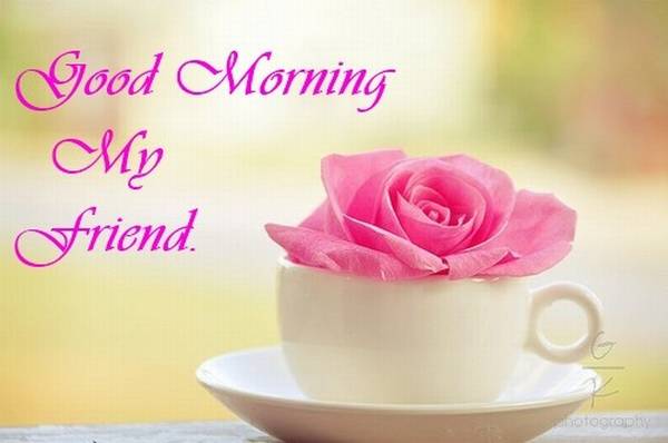 GOOD MORNING FRIENDS.
