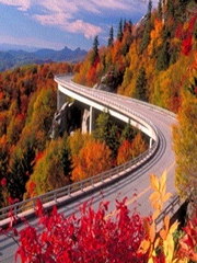 Lord I Love The Path You Lead