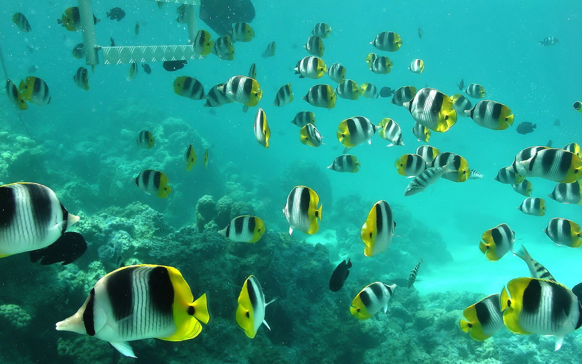 Under water