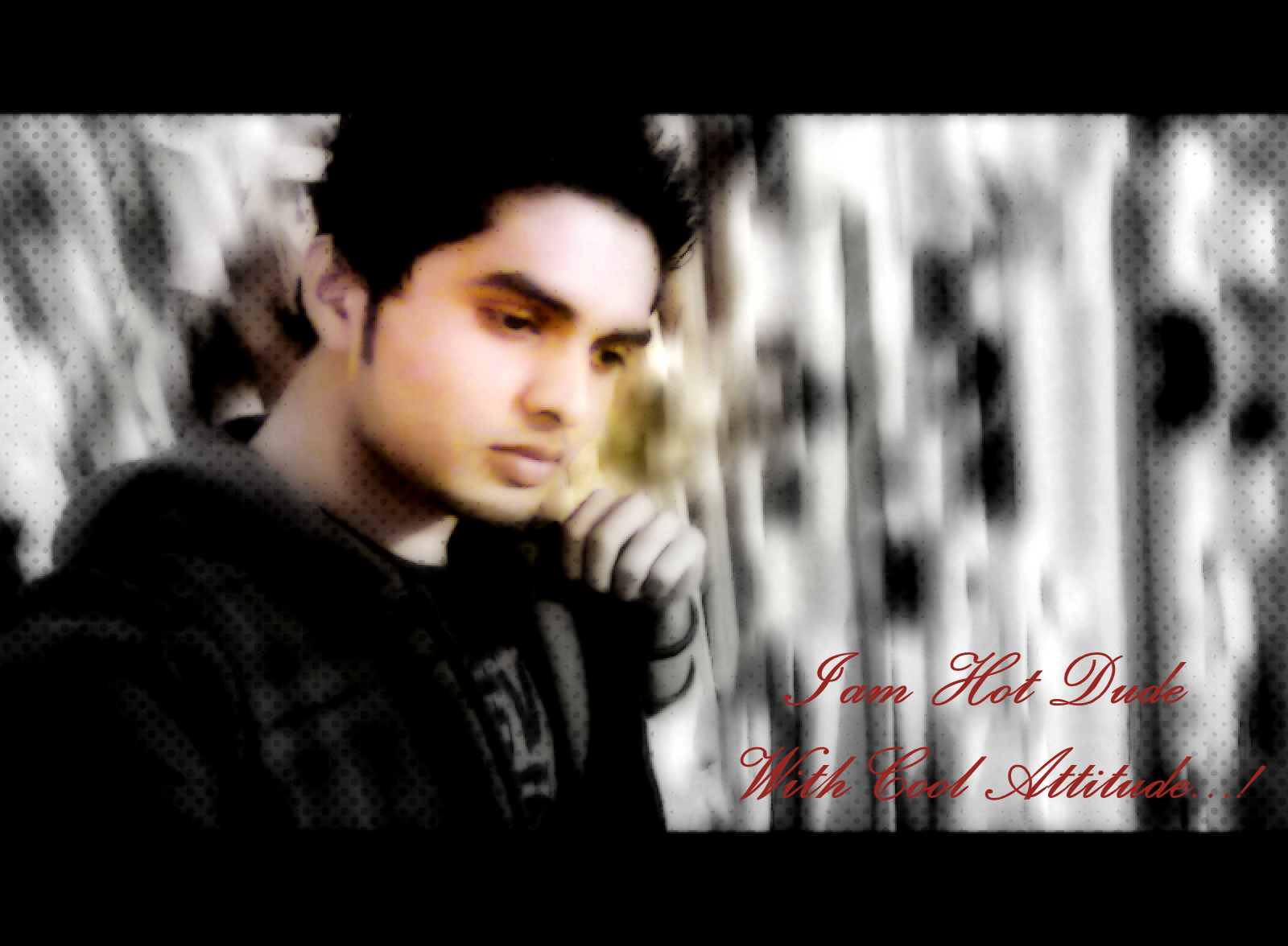 shez hameed