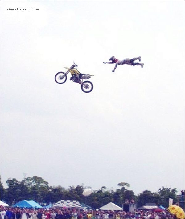 funny photos