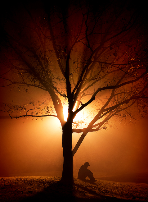 Friendship is the words emanating from the heart of loneliness.
*Loneliness is a bliss in disguise.