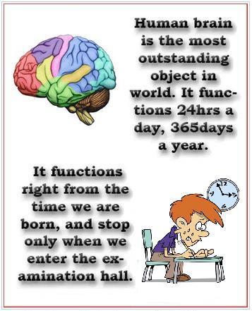 human brain jokes