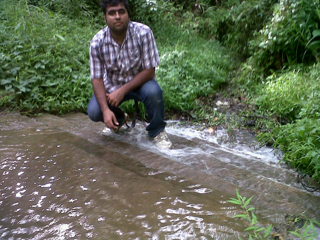 In the forest of kaziranga