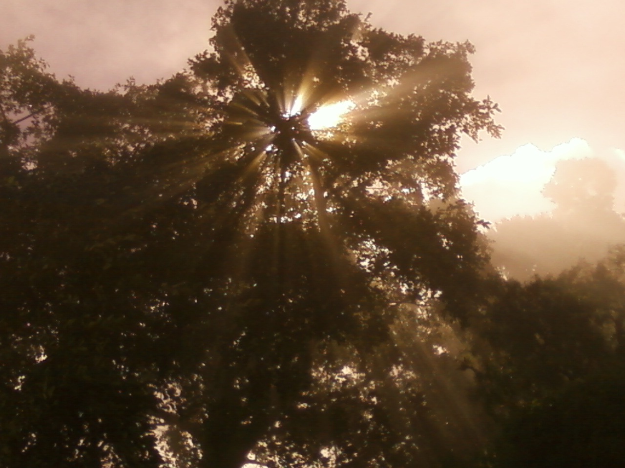 Its my click 