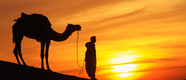 Best Rajasthan tour packages. Book Rajasthan holiday & Jaipur Tour Packages with Royal Adventure To