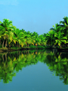 My village