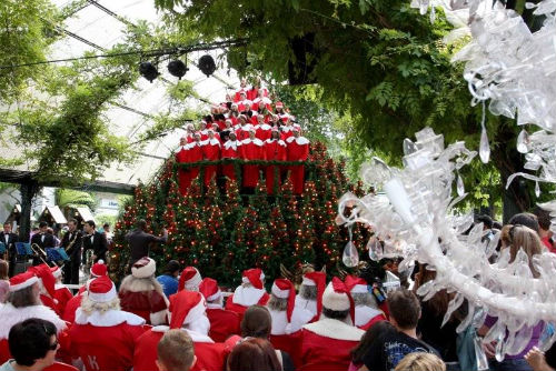 Christmas Celebration
