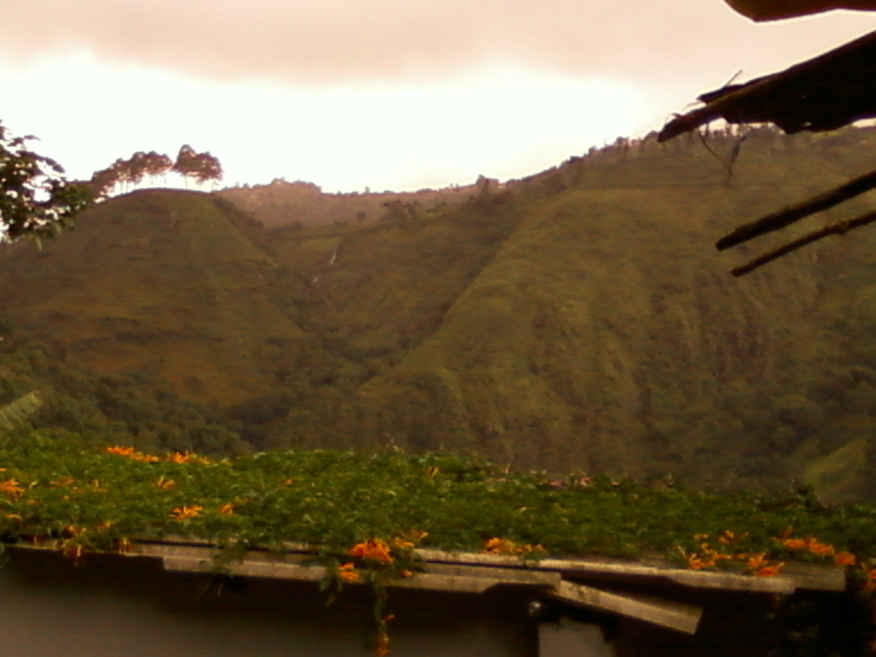 taken @ kodaikanal by me