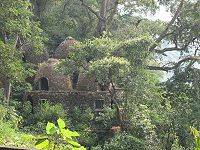 TREE HUT