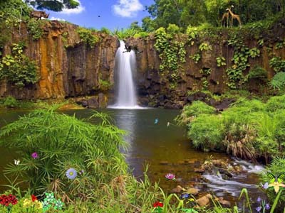 cool place