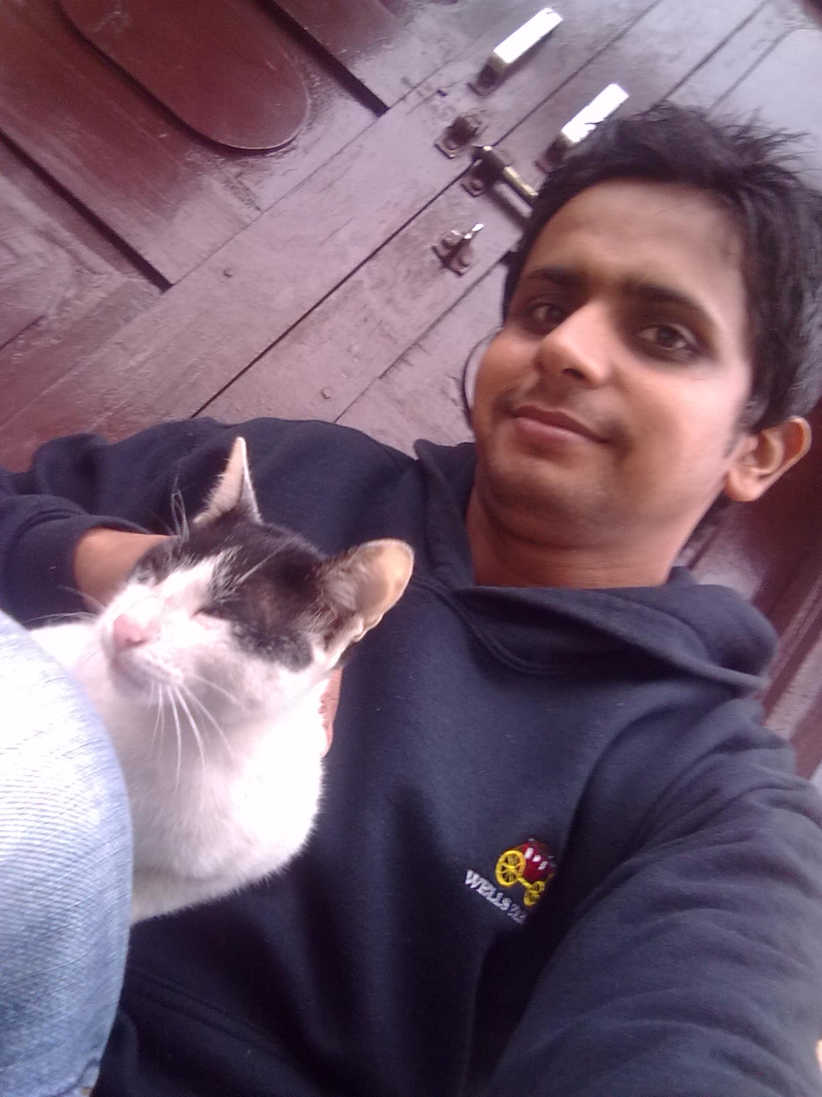My lovely cat