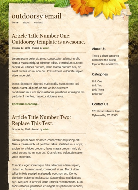 Newsletter Design