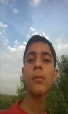 Mrd