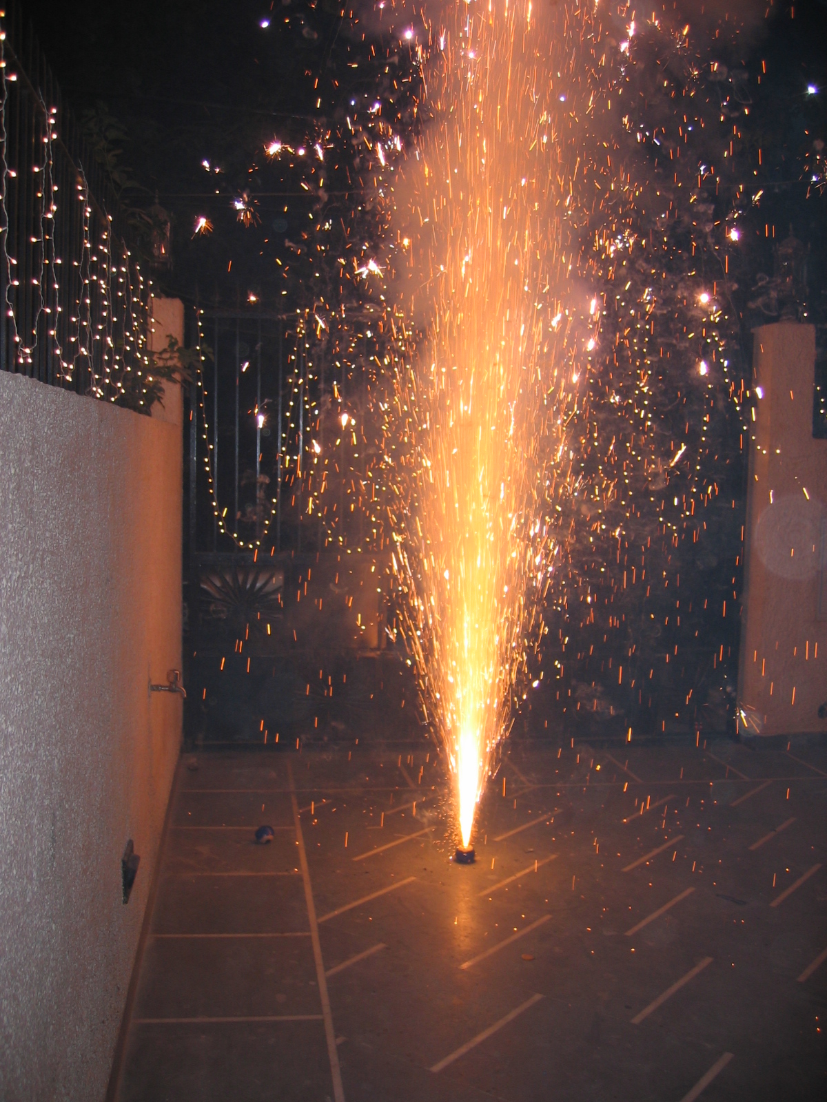 Diwali Celebration