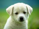 NEED A FRIEND WHO IS -----