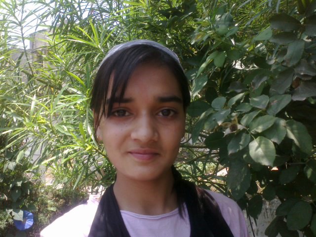 jashpur