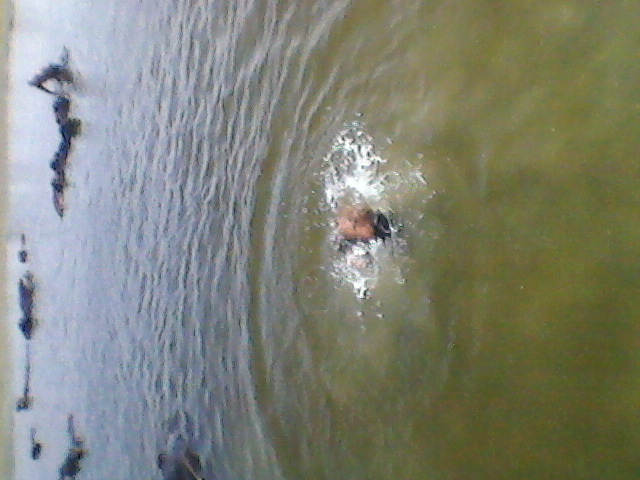 river me maveshe