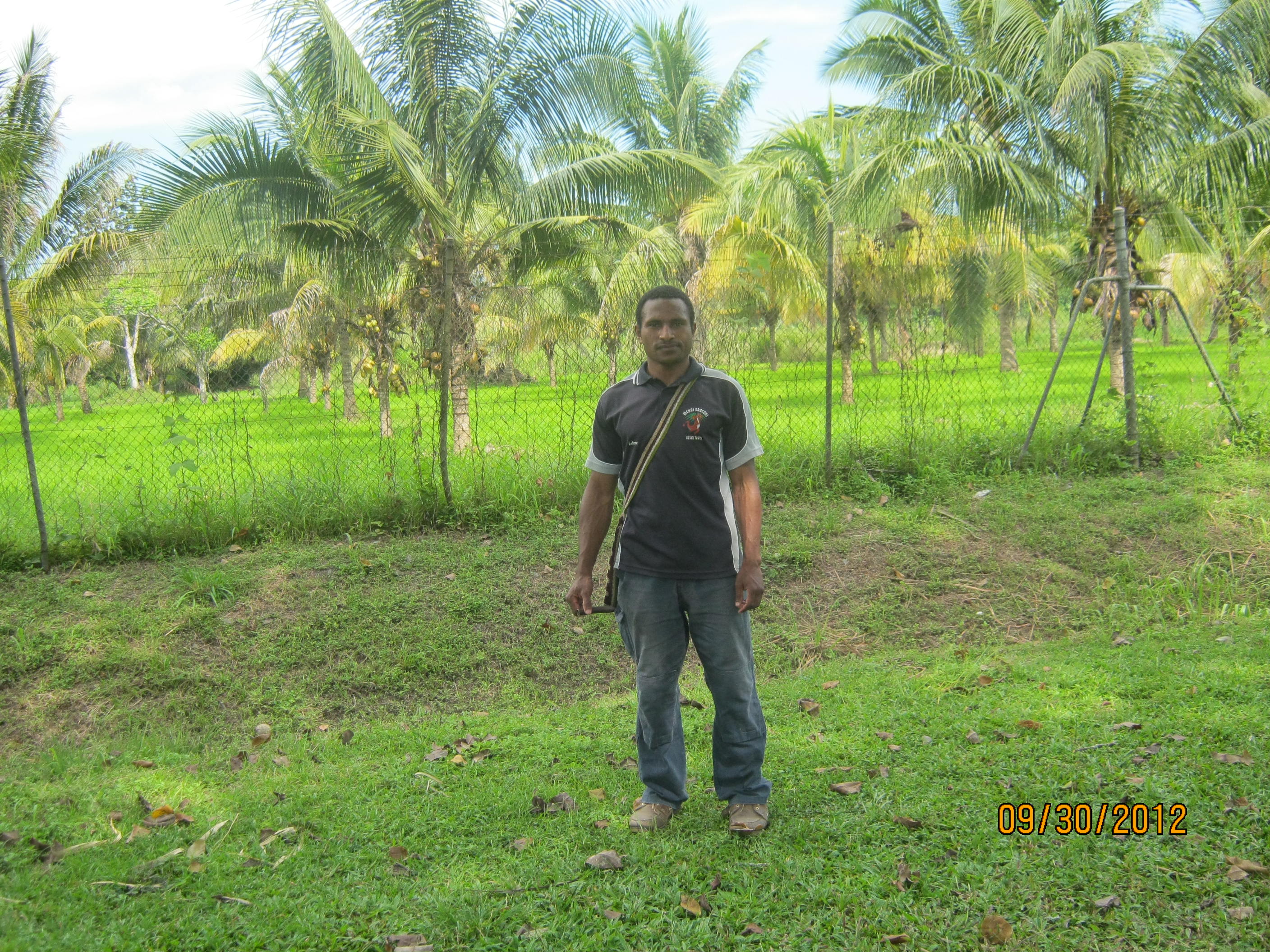 MY BEAUTIFUL COUNTRY PAPUA NEW GUINEA