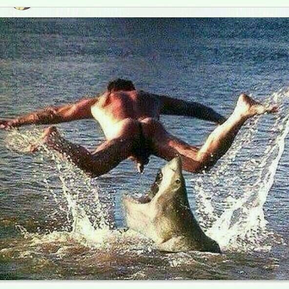 My funniest pic