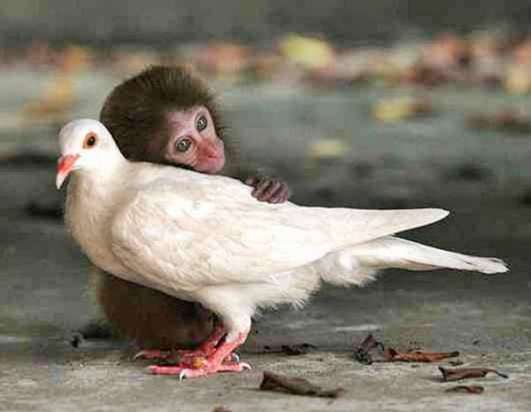 love like this