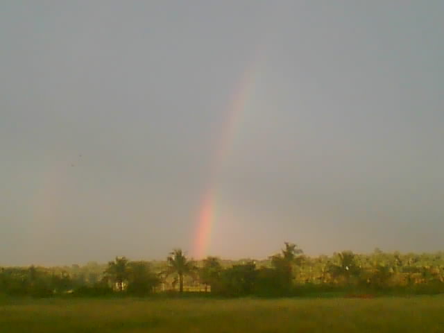 Gift of Nature