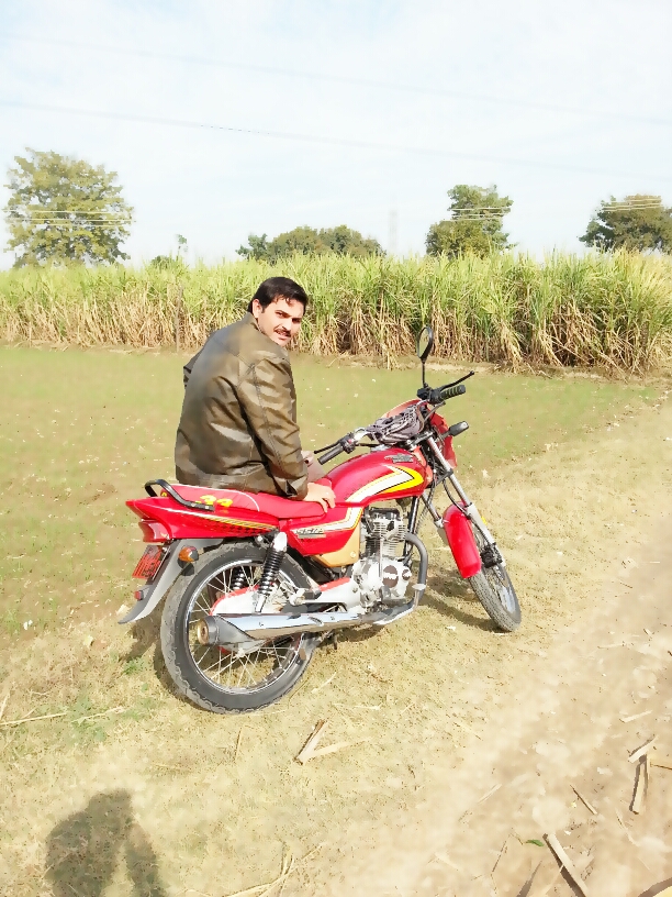 this picture create on my green farms