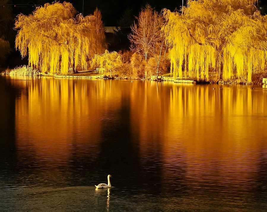 Love the nature 
Love one another 