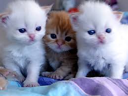 Need friendship 4 ever 4 ever 4 ever 4 ever 4 ever 4 ever 4 ever 4 ever 4 ever 4 ever 4 ever 4 ever 