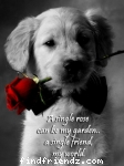 LOVEUFRIENDZ