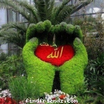 Mercy of Allah