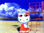 kitty