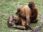 funny