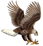 Click to Enlarge