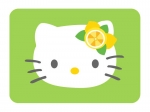 kitty