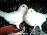 u an me