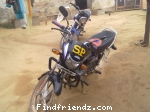 good is gadi