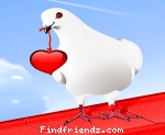 my hart