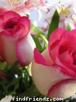 For u friends.