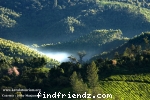 See The Mist Rising 
