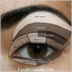makeup