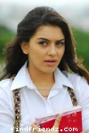 Hansika Motwani