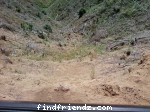 an i could of died 